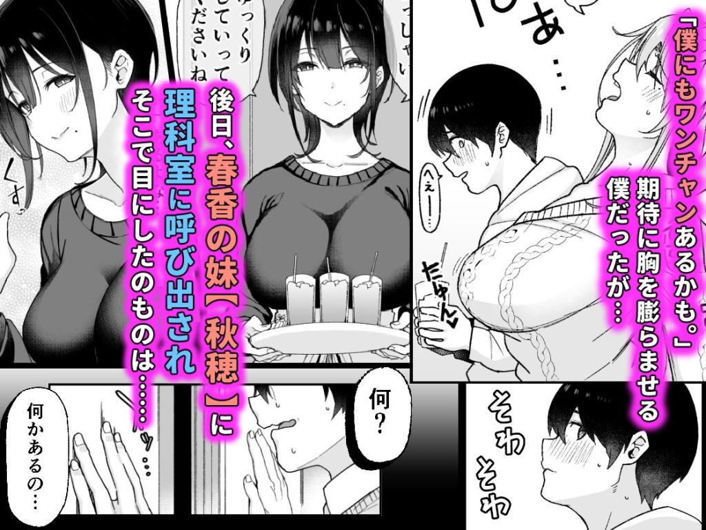 幼馴染のお姉さんが寝取られたので、僕はあなたの妹とセックスしてもいいですか？